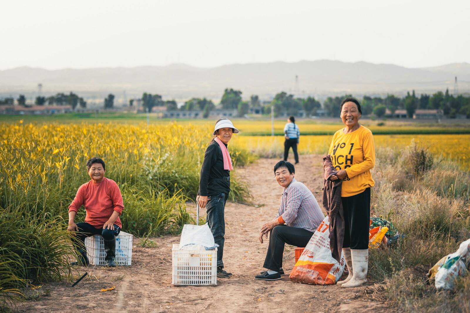 People gather on a dirt path in a yellow field